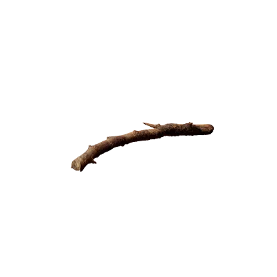 tree debris 006 — Descargar