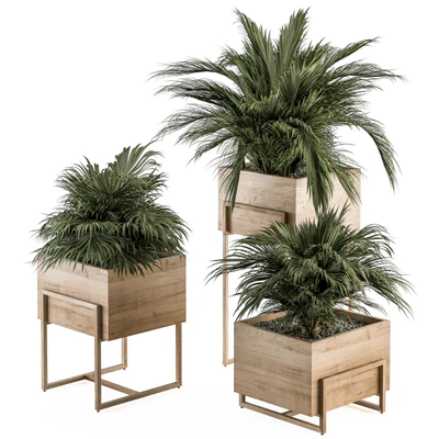 indoor Plant Set 318 - Plant Set in Wood Box — скачать
