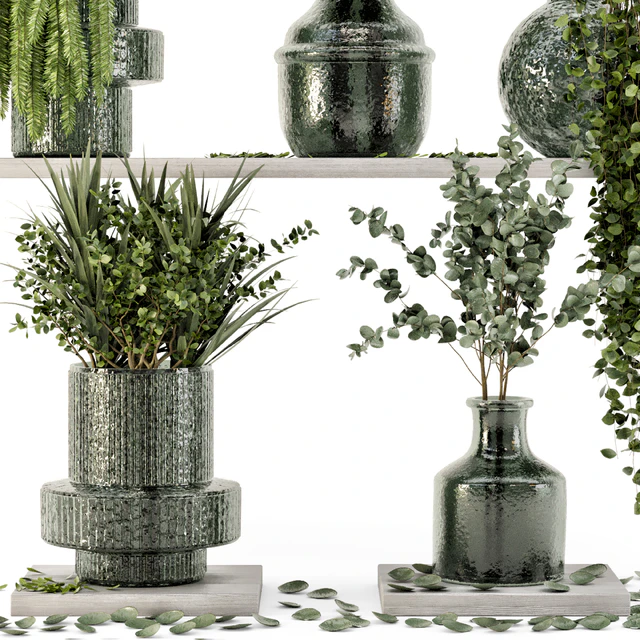 Collection Indoor Plants in Glass Pots - Set 695 — Descargar