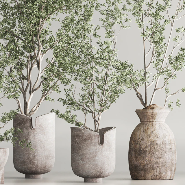 Indoor Plant Set 79 — Descargar