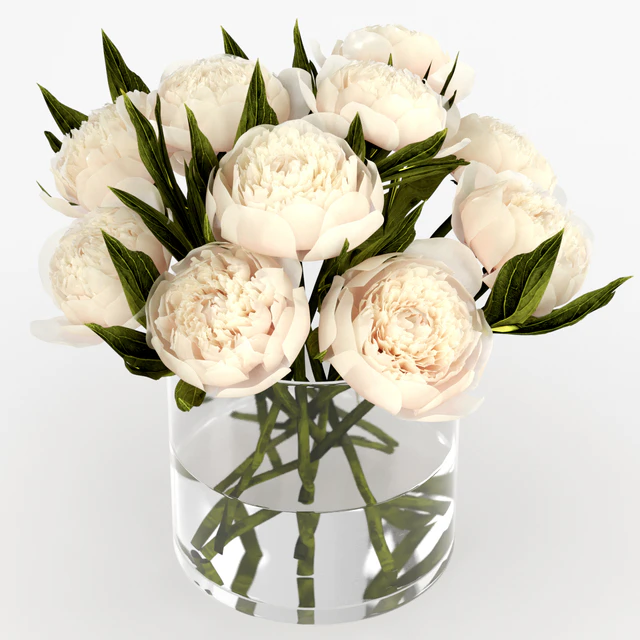 Bouquet of peonies — Descargar