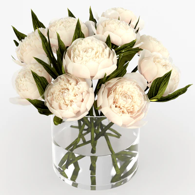 Bouquet of peonies — Ver 1