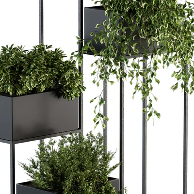 indoor Plant Set 100 - Black stand — Ver 5