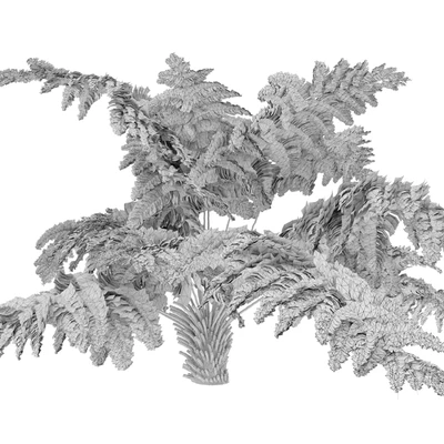 tree fern 04 — View 5