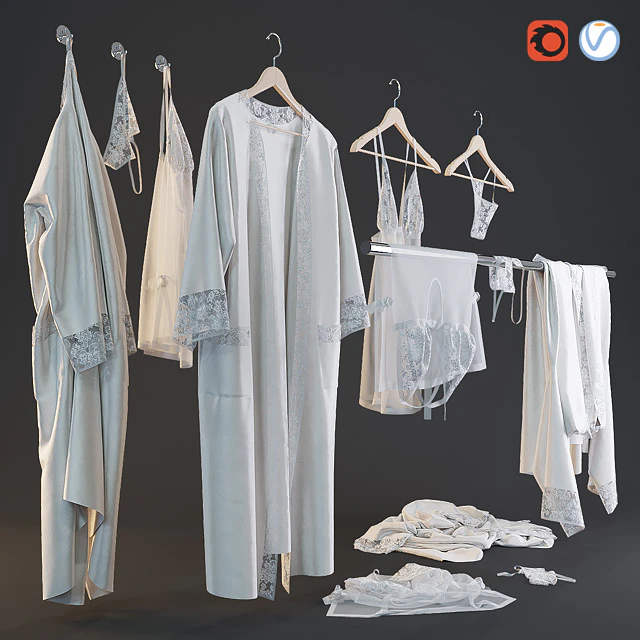 A set of women's clothing — Descargar