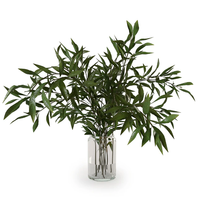 Branches in a vase 007 — Descargar