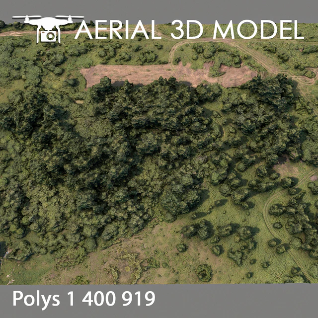 Forest 75 — Download