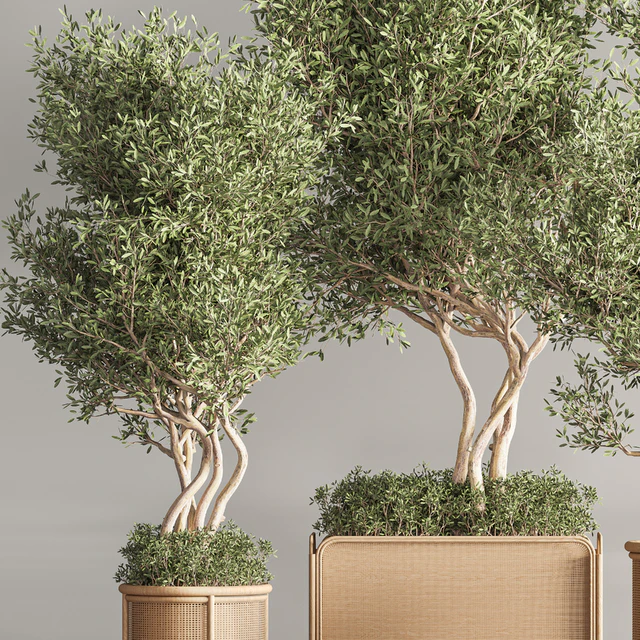 Indoor Plant Set 40 — Скачать