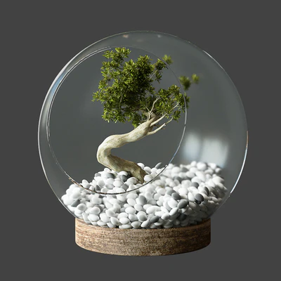 Little Tree In Glass Globe — Ver 4