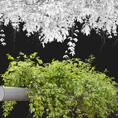 Hanging Plant 21 — Ver 5