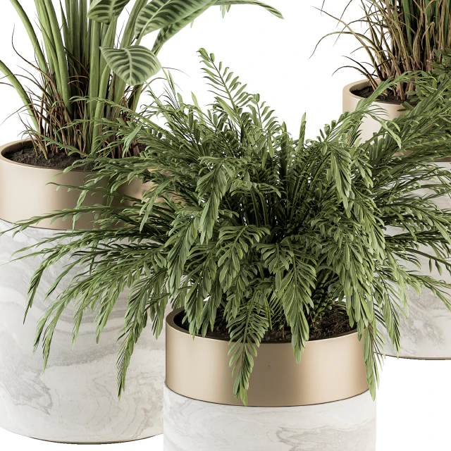 indoor Plant Set 245 - Plant Set in pot — Descargar