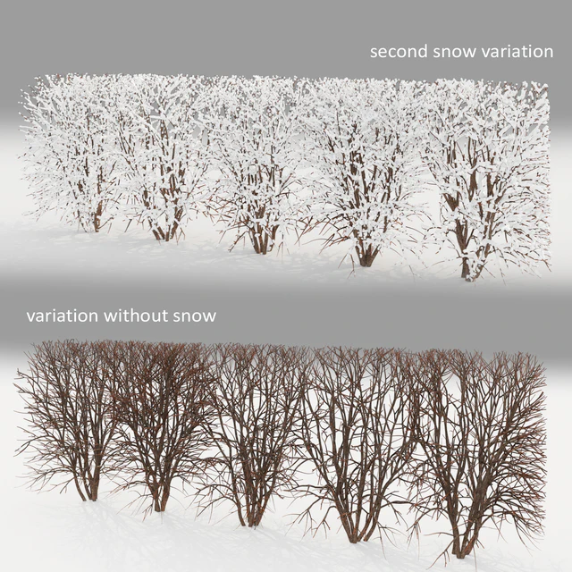 Winter  hedge — Скачать