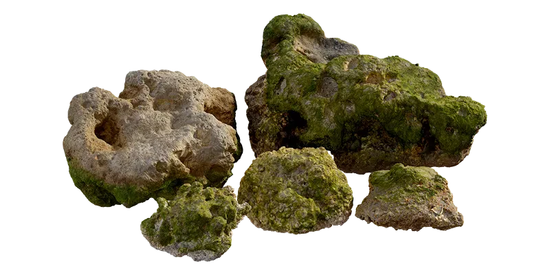 thai beach corals pack 002 — Скачать