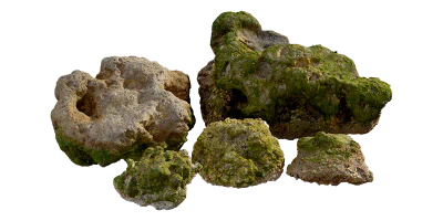 thai beach corals pack 002 — Скачать