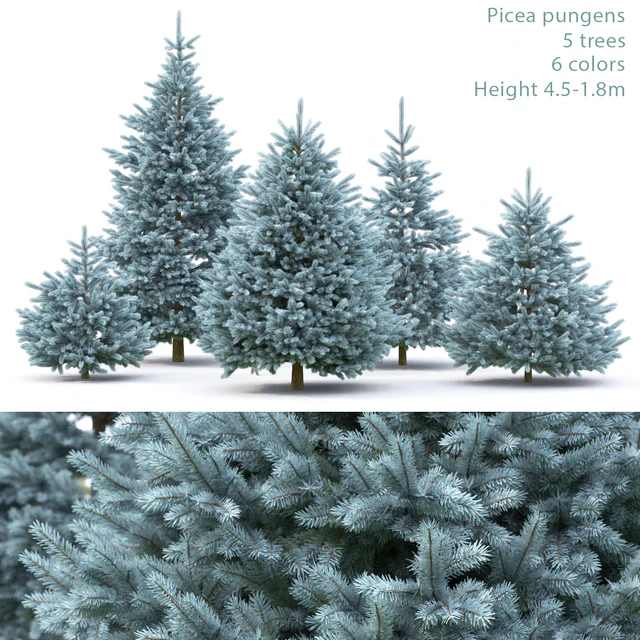 Spruce — Скачать