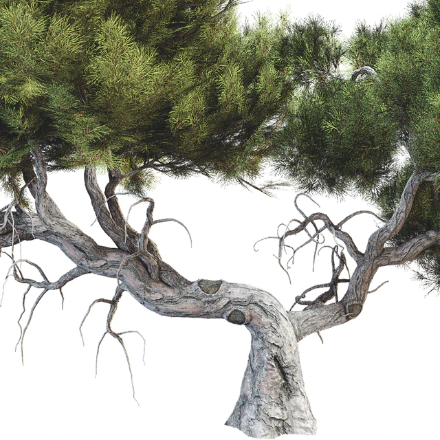 Tree 007 — Скачать