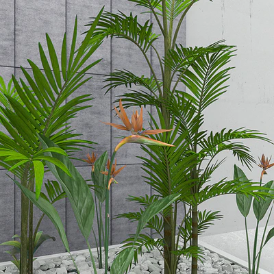 Flowers and plants set — Ver 3