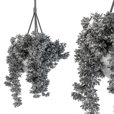 Hanging box plant - Set 82 — Ver 4