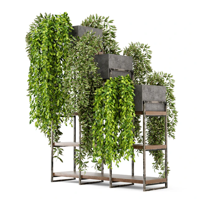 Indoor Plants in rusty Concrete Pot on Metal Shelf  - Set 53 — Скачать