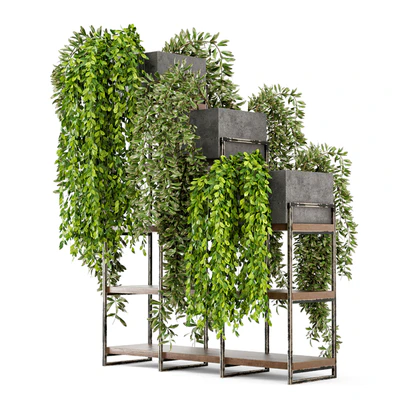 Indoor Plants in rusty Concrete Pot on Metal Shelf  - Set 53 — Вид 5