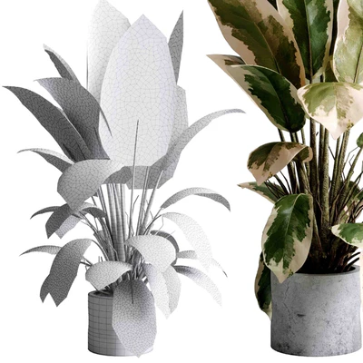 Benjamin Plant - indoor plant set 495 concrete old vase — Ver 4