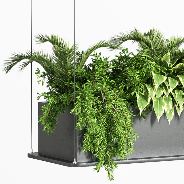 Indoor Plant Set 32  (Hanging Plants) — Descargar