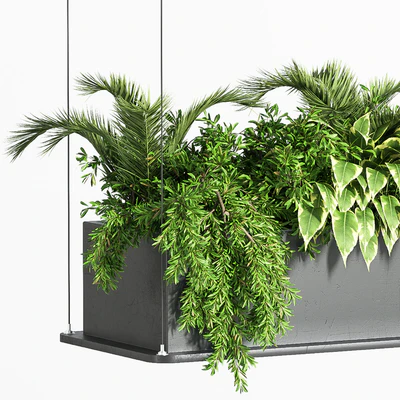 Indoor Plant Set 32  (Hanging Plants) — Ver 6