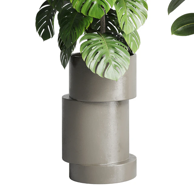 Collection indoor plant 206 plant cactus — Descargar