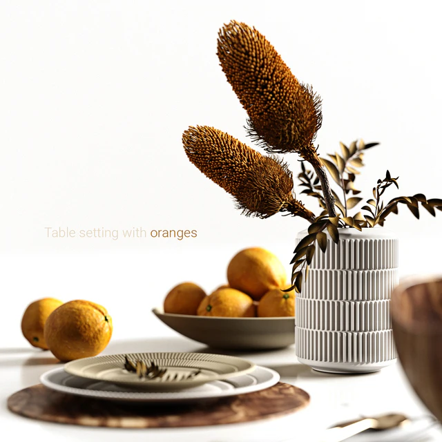 Table setting with oranges — Descargar