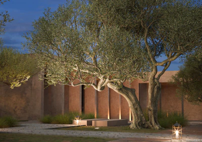 plant models vol 113 — download