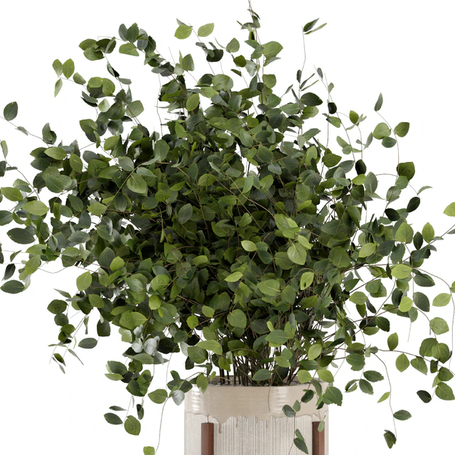 Indoor Plants in rusty Concrete Pot - Set 280 — Скачать