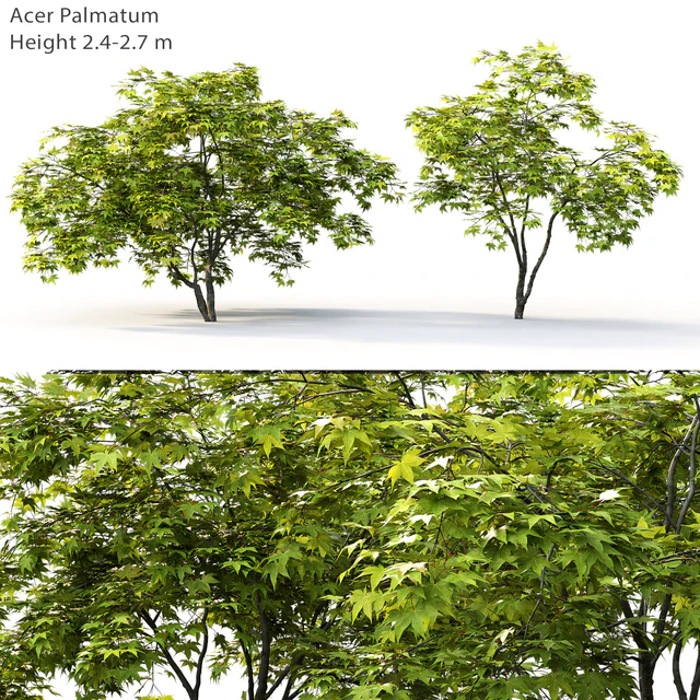 Acer — Скачать