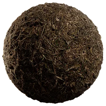 dried grass 009 — Скачать