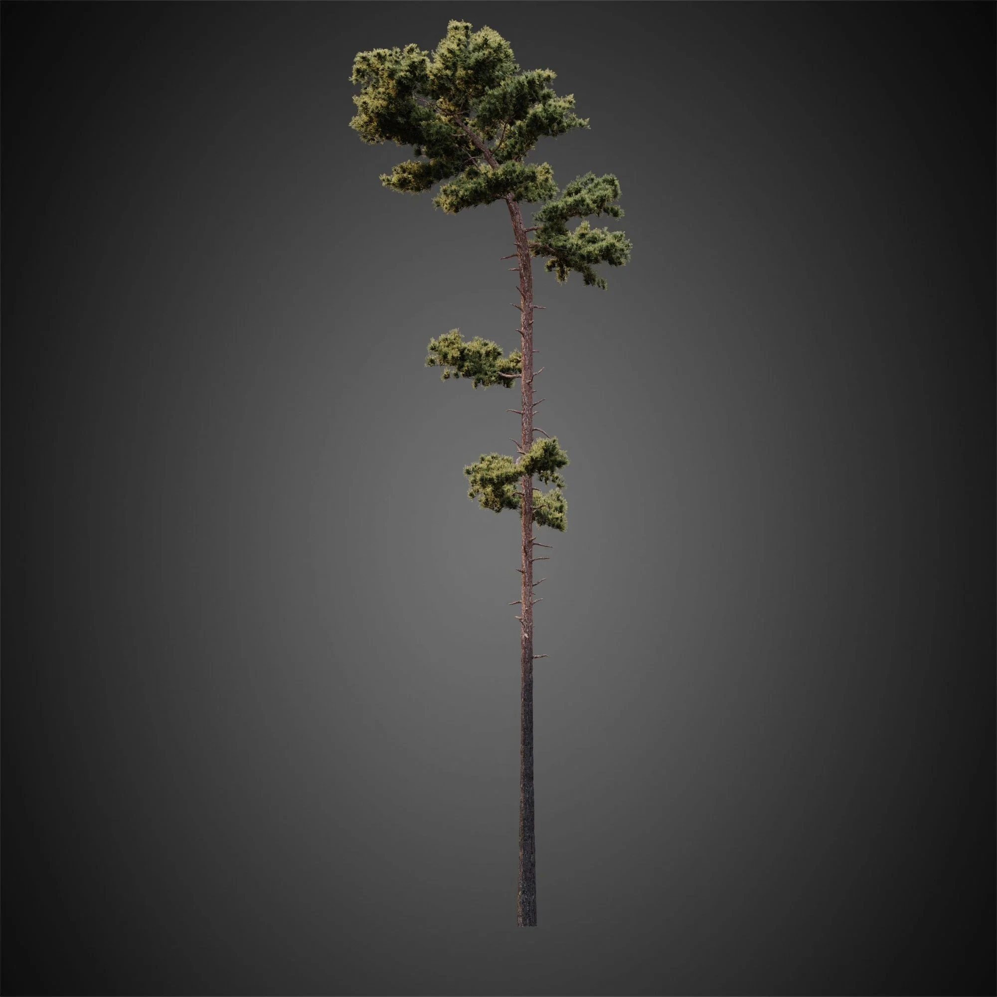 010 — Download