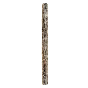 juniper branch bark 001 — Descargar