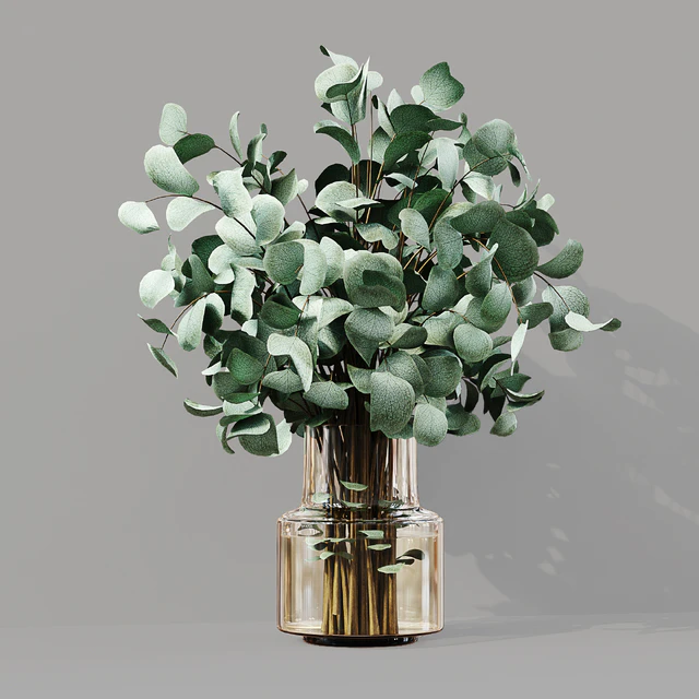 Collaction Indoor Plants 07 — Скачать