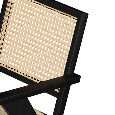 Annette Black Upholstered cane dining chair — Вид 5