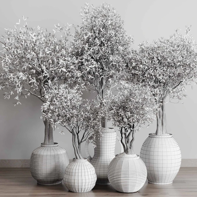 Olive tree in an old earthenware vase indoor collection 182 — Скачать
