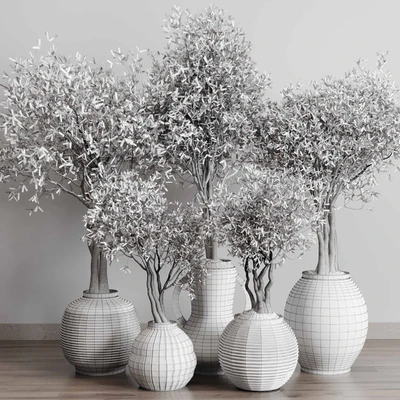 Olive tree in an old earthenware vase indoor collection 182 — Вид 5