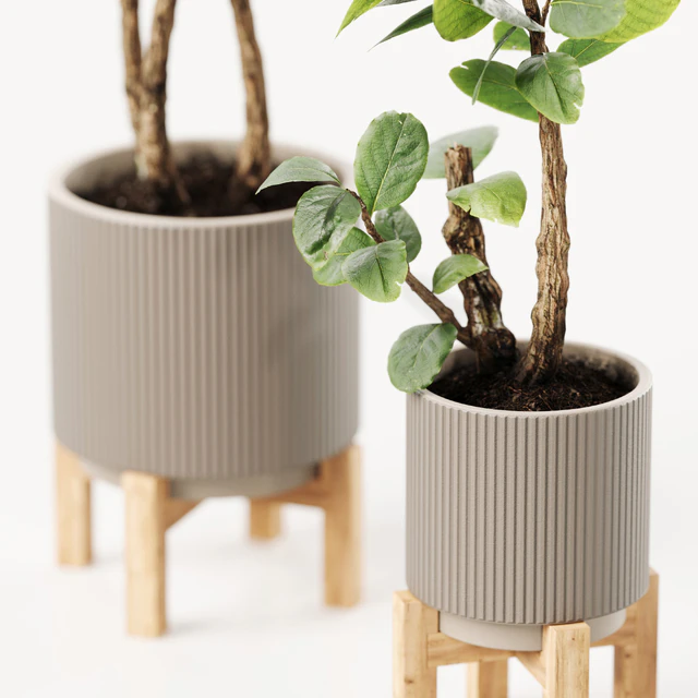 Plants 08 — Скачать