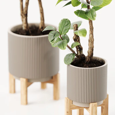 Plants 08 — Вид 3