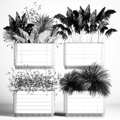 Collection of plant bouquets of dried flowers, moonflower, dry palm branches, dry grass, natural decor .1121. — Ver 7