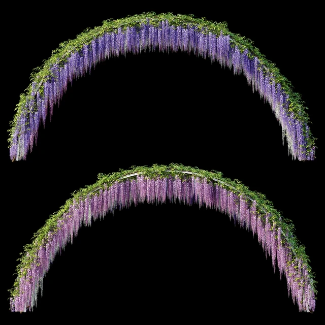 Arch with Wisteria — Descargar