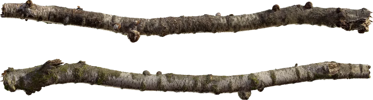 birch log 003 — Скачать