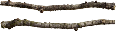 birch log 003 — Скачать