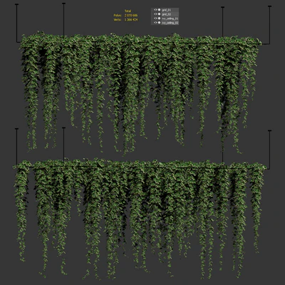 Ivy hanging from the ceiling. 2 models — Ver 5