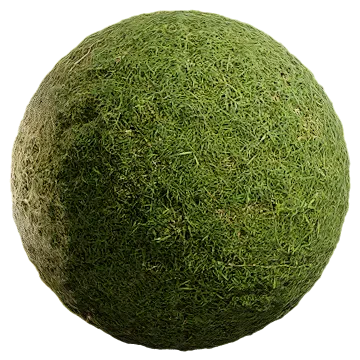 uncut grass 003 — Download