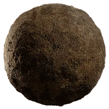 grass dried 001 — Скачать