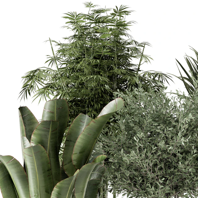 Indoor Plants in Ferm Living Bau Pot Large - Set 1325 — Descargar