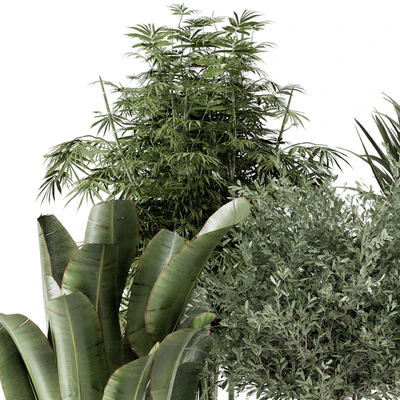 Indoor Plants in Ferm Living Bau Pot Large - Set 1325 — Ver 5